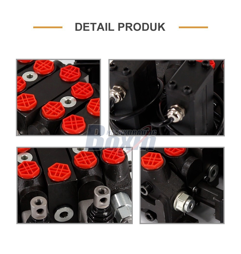 Sectional Directional Valve DCV60 2 Spool Electric Actuated Model